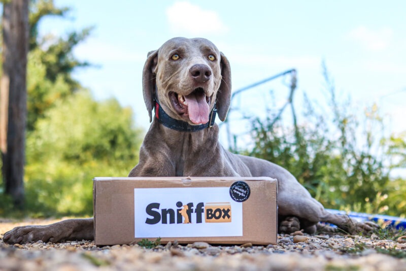 Mert megérdemlem Sniffbox