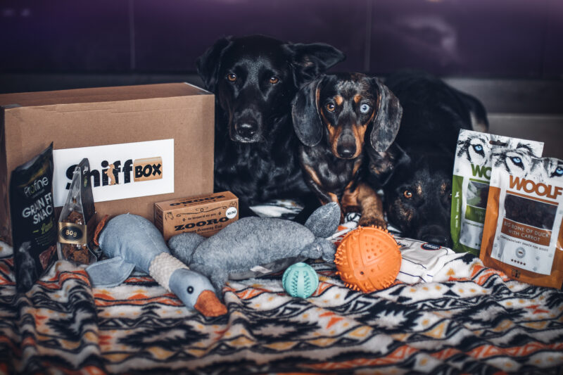 Mind megeszlek! Sniffbox